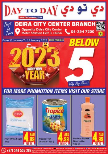 DaytoDay offer thumb