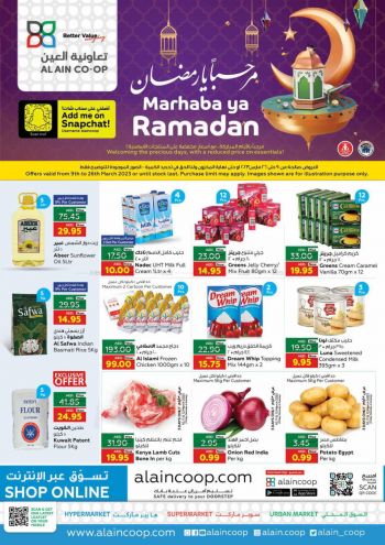 Al Ain Coop offer thumb
