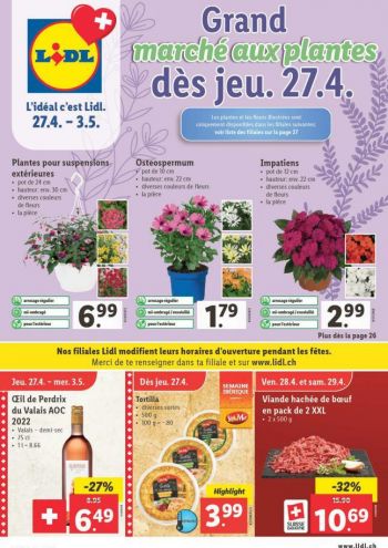 LIDL offer thumb