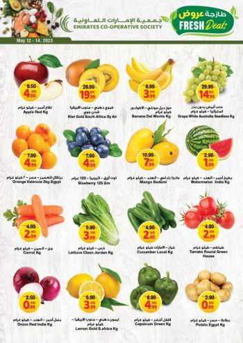 Emirates Coop offer thumb