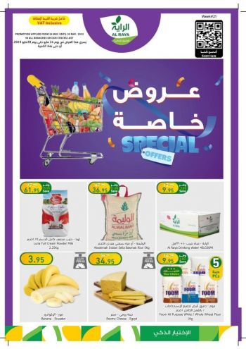 Al Raya Market offer thumb