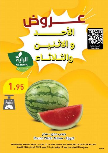 Al Raya Market offer thumb