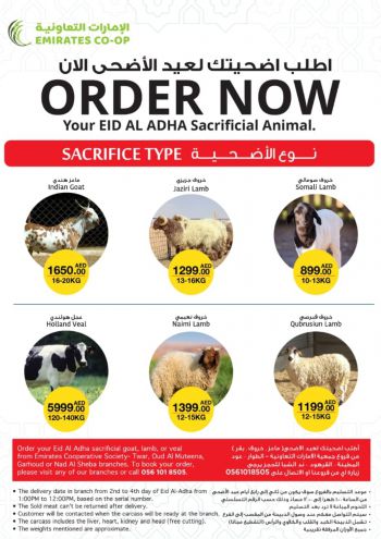 Emirates Coop offer thumb