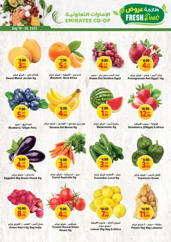 Emirates Coop offer thumb