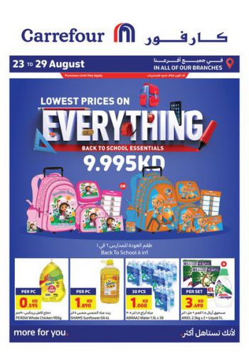 Carrefour offer thumb