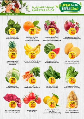 Emirates Coop offer thumb