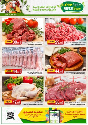 Emirates Coop offer thumb