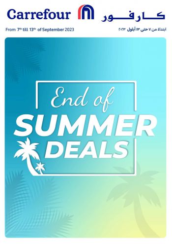 Carrefour offer thumb