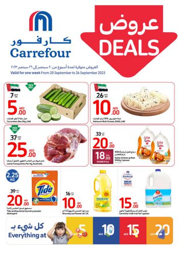Carrefour offer thumb