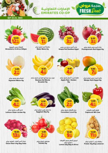 Emirates Coop offer thumb