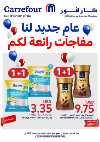 Carrefour offer thumb