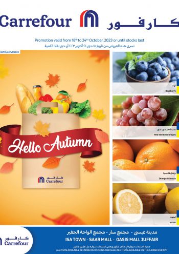 Carrefour offer thumb