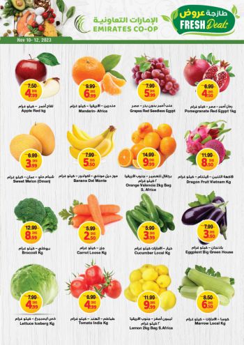 Emirates Coop offer thumb