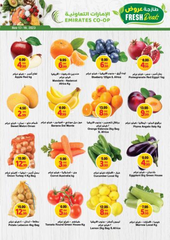 Emirates Coop offer thumb