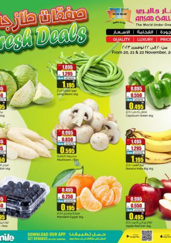 Ansar Gallery offer thumb