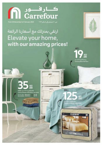 Carrefour offer thumb