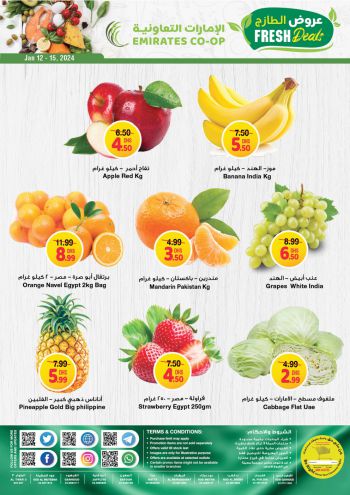 Emirates Coop offer thumb