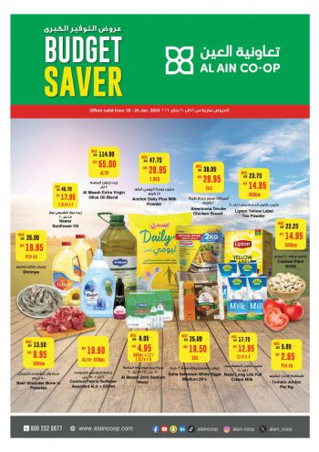 Al Ain Coop offer thumb