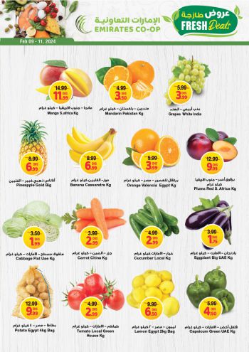 Emirates Coop offer thumb