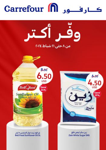 Carrefour offer thumb