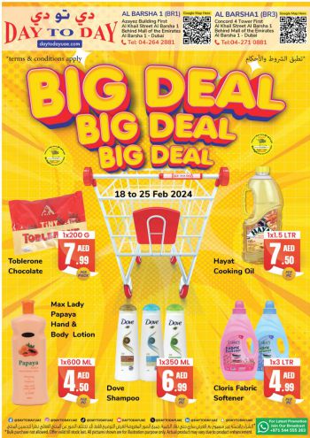 DaytoDay offer thumb