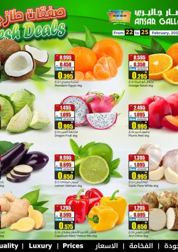 Ansar Gallery offer thumb