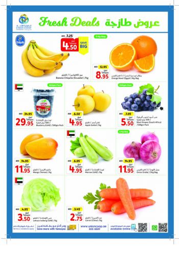 Union Coop offer thumb