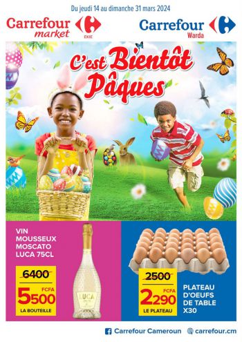 Carrefour offer thumb