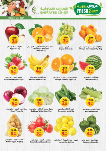 Emirates Coop offer thumb