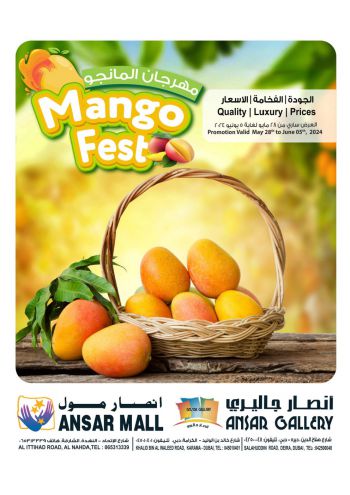 Ansar Gallery offer thumb