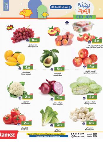 Ramez Center offer thumb