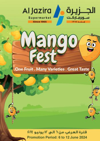 Al Jazira offer thumb