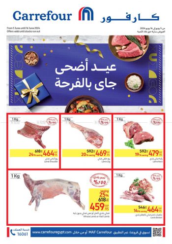 Carrefour offer thumb