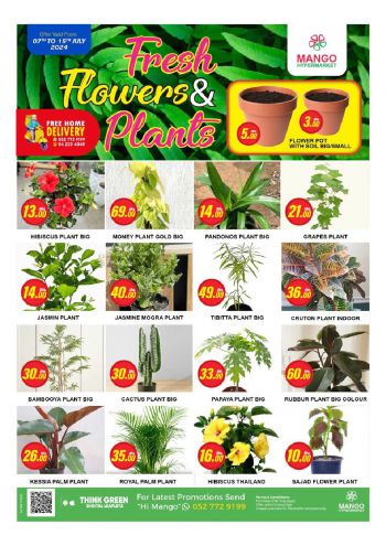 Al Madina Market offer thumb