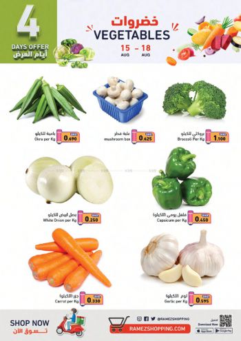 Ramez Center offer thumb