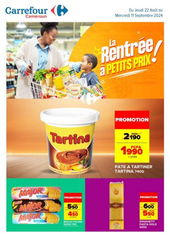 Carrefour offer thumb