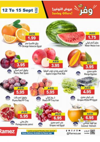 Ramez Center offer thumb