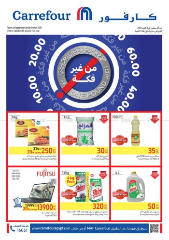 Carrefour offer thumb