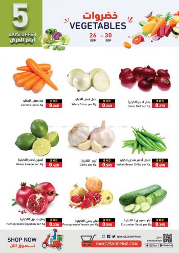 Ramez Center offer thumb