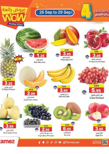 Ramez Center offer thumb