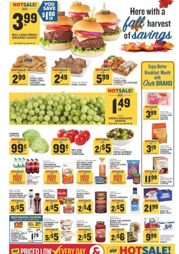 Foodlion offer thumb