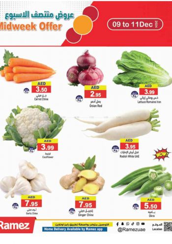 Ramez Center offer thumb