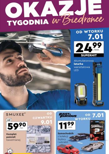 Biedronka offer thumb