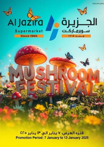 Al Jazira offer thumb