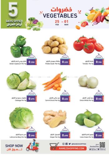 Ramez Center offer thumb