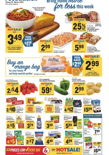 Foodlion offer thumb