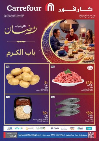 Carrefour offer thumb