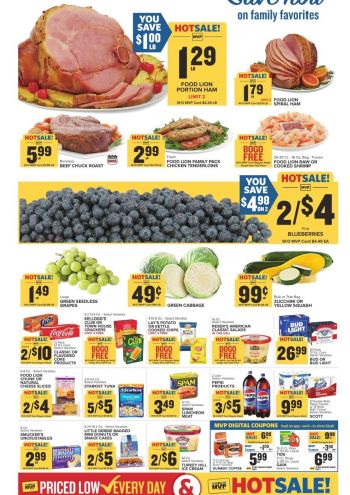 Foodlion offer thumb