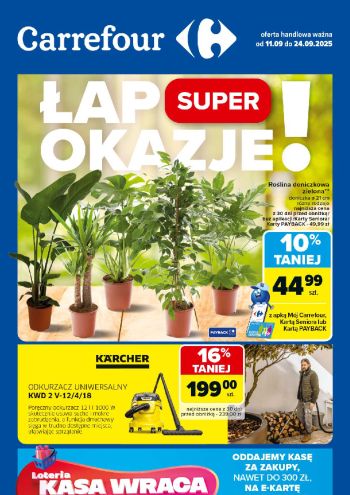 Carrefour offer thumb