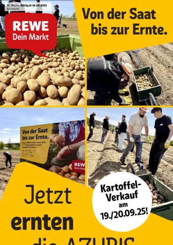 Rewe offer thumb